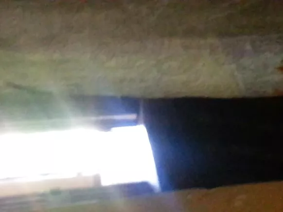 Muteŵetikazi wa ku Sri Lanka mbunda yikuru ya m'makutu yakuwala ebony muteŵetikazi. Skype nkhusangalaska =.
